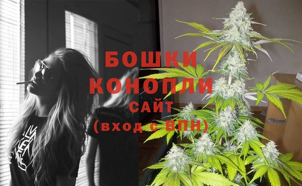 индика Аркадак