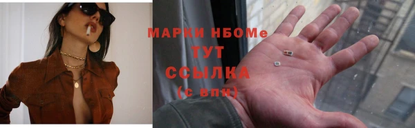 индика Аркадак