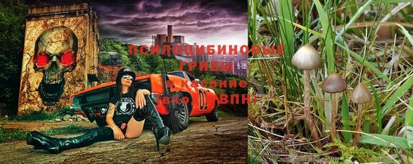 экстази Армянск