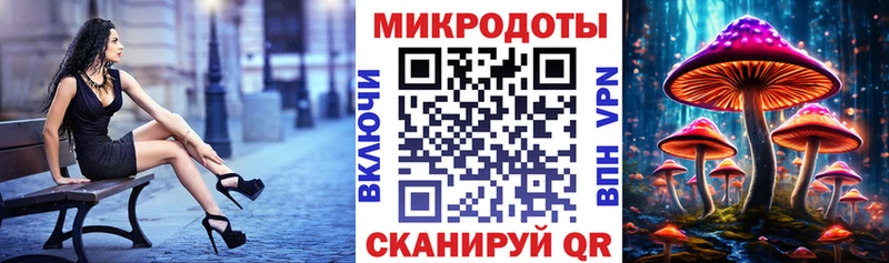 Купить где  Тында  Псилоцибиновые грибы MAGIC MUSHROOMS 